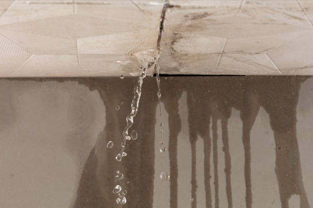 Professional Water Damage Repair technician working in Renault, IL